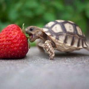 Meet your Posher, Marina